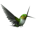 koribli_12