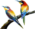 koribli_14