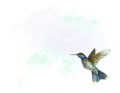 koribli_24