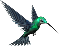 koribli_28
