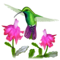 koribli_48
