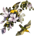 koribli_49