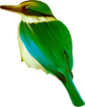 koribli_74
