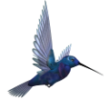 koribli_81