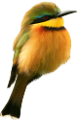koribli_83