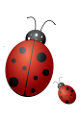 katica_107