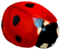 katica_110