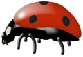 katica_121