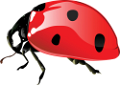 katica_123