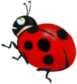 katica_125