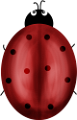 katica_135