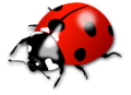 katica_137