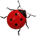 katica_140