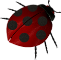 katica_143