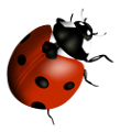 katica_144