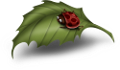 katica_147