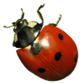 katica_148