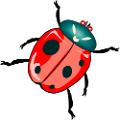 katica_151