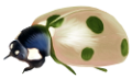 katica_160