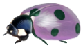 katica_161