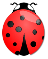 katica_163
