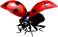 katica_167