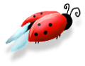 katica_168