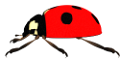 katica_171