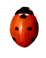 katica_173