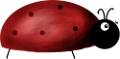 katica_174