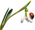 katica_178