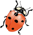 katica_192