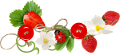 katica_198