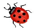 katica_205