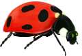 katica_214