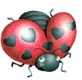 katica_218