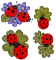 katica_220