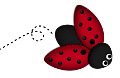 katica_230