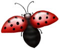 katica_233