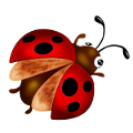 katica_242