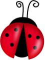 katica_245