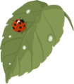 katica_273