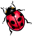 katica_38