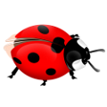 katica_51