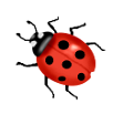 katica_54