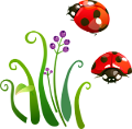 katica_63