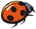 katica_70