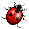 katica_74