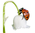 katica_84