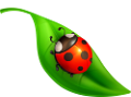 katica_86